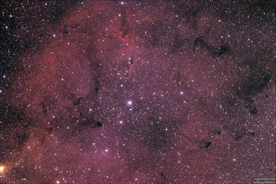 IC1396 Elephant trunk nebula
