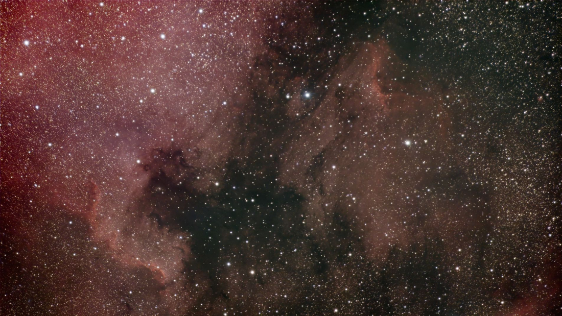 NGC7000 + Pelican nebula
